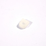 อะไหล่ DUC254#47 CLAMP SCREW