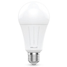 หลอด LED BULB E27-12W-DL-6500K GQ SERIES