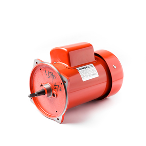 อะไหล่CP-500#1 มอเตอร์ 220V