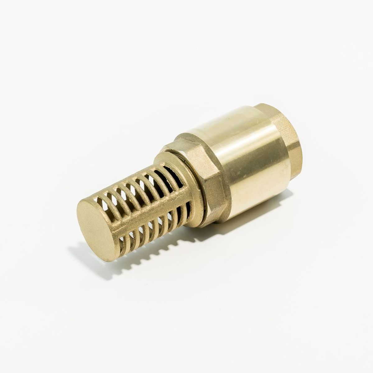 อะไหล่ AUJDW/JDW-100 FOOT VALVE