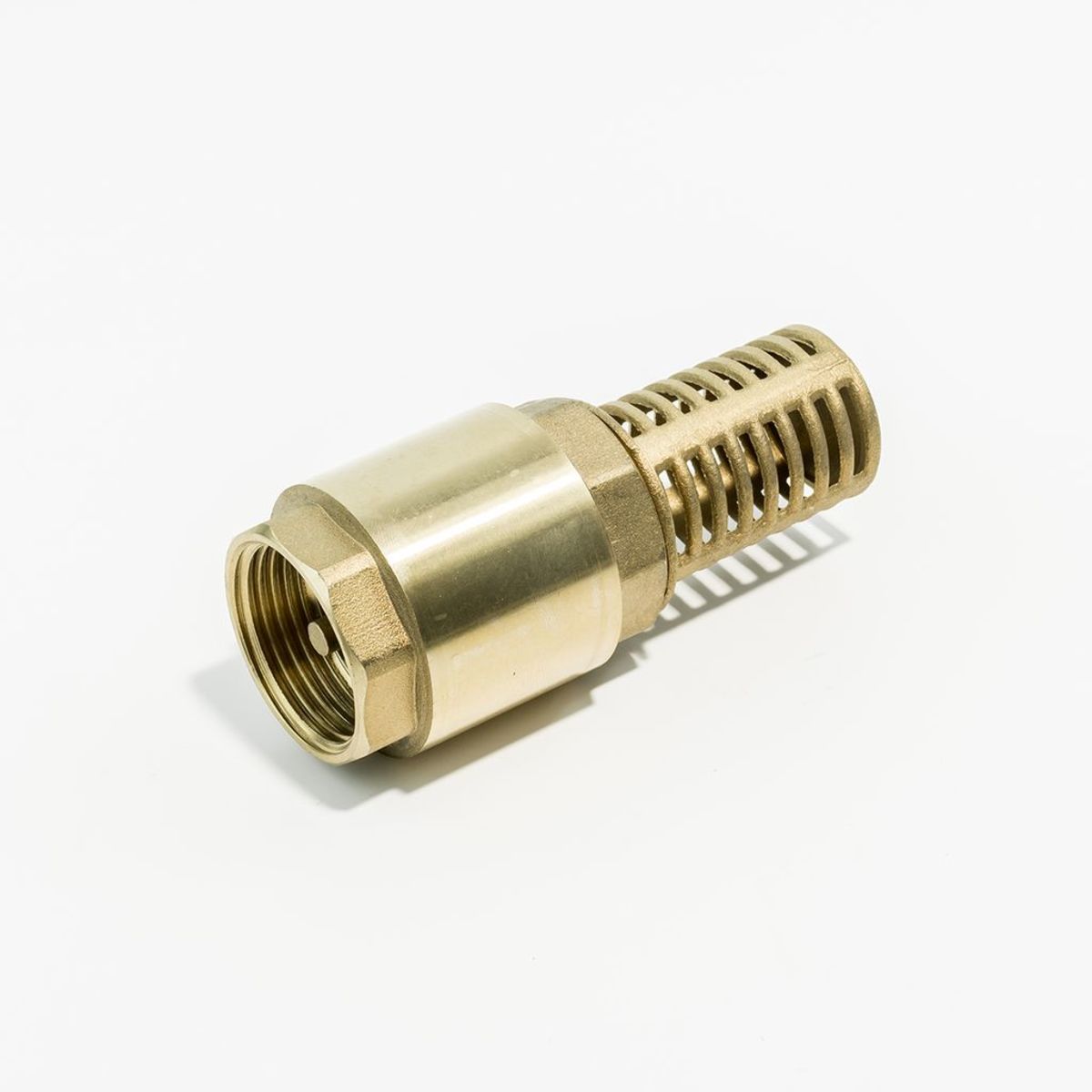 อะไหล่ AUJDW/JDW-100 FOOT VALVE