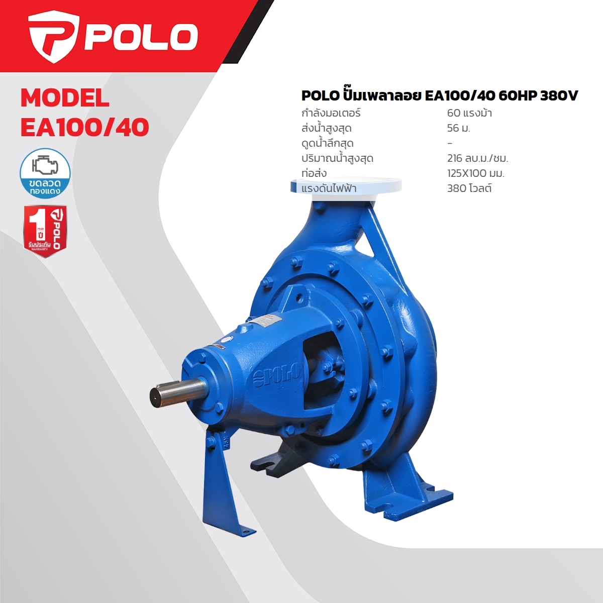 EA100/40 ปั๊มเพลาลอย GRAND PACKING