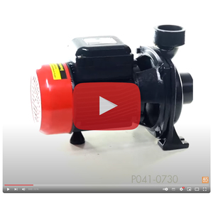 LHF1-5AMB ปั๊มหอยโข่ง 2HP 2