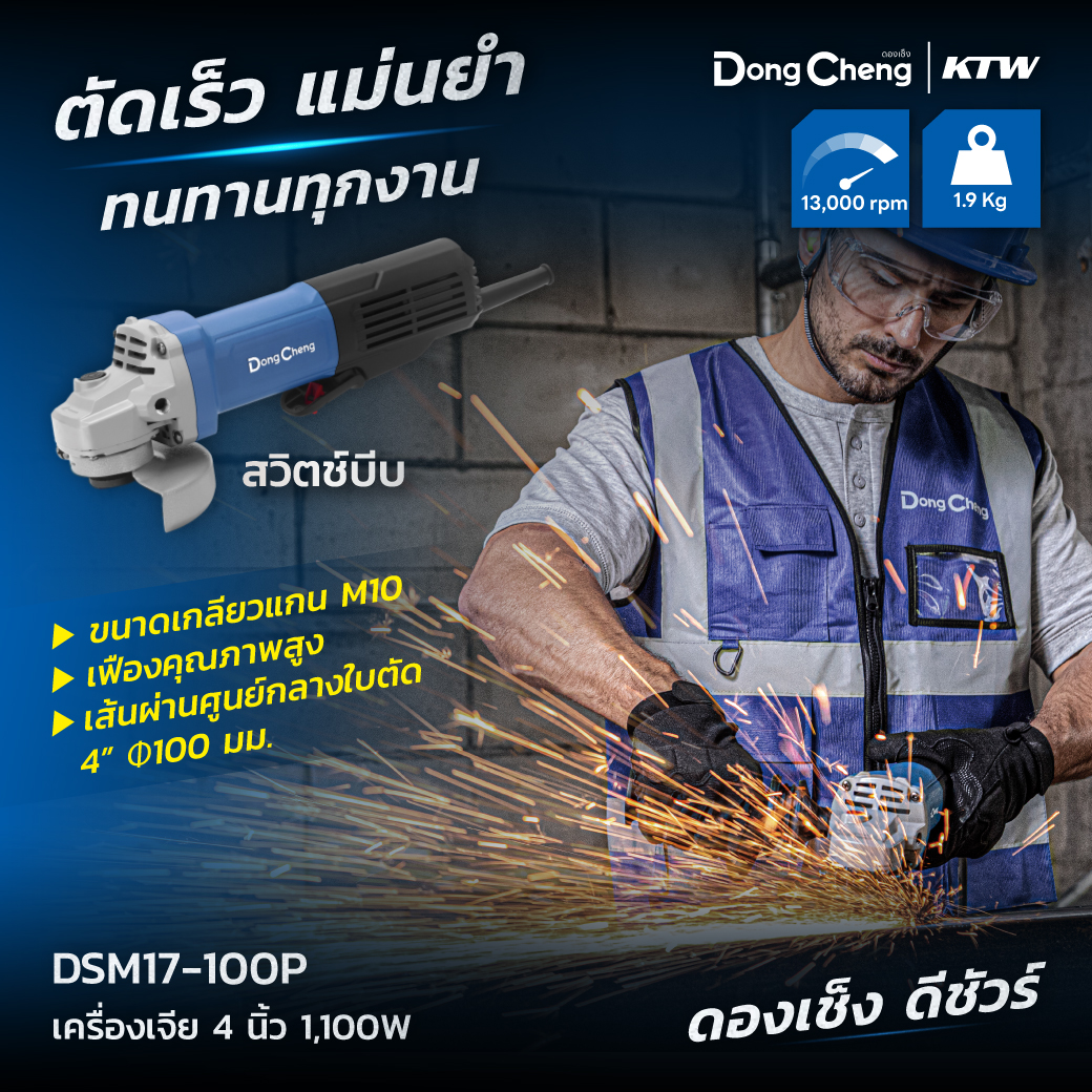 DSM17-100P